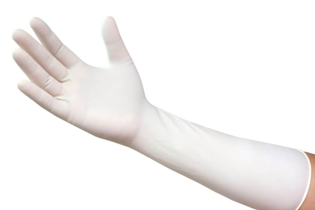 Latex Gynaecological Gloves